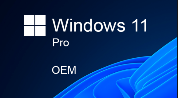 Buy Software: Microsoft Windows 11 Pro OEM
