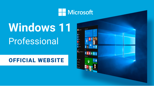 Buy Software: Microsoft Windows 11 Professional