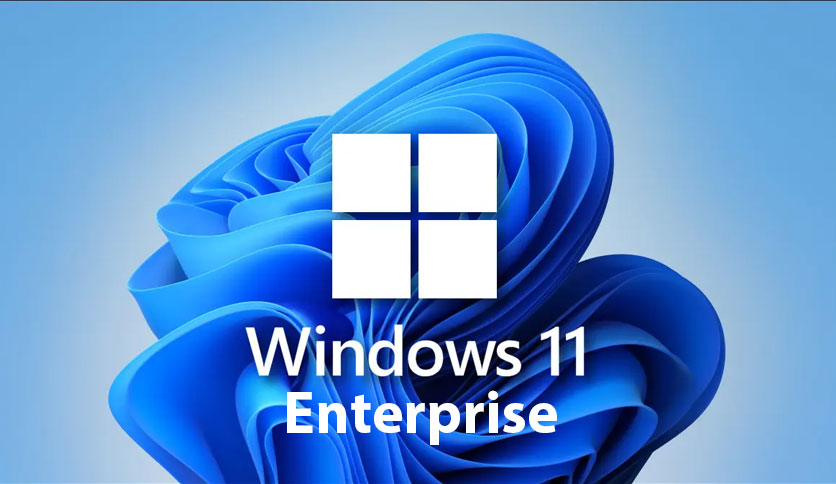 Buy Software: Windows 11 PSN